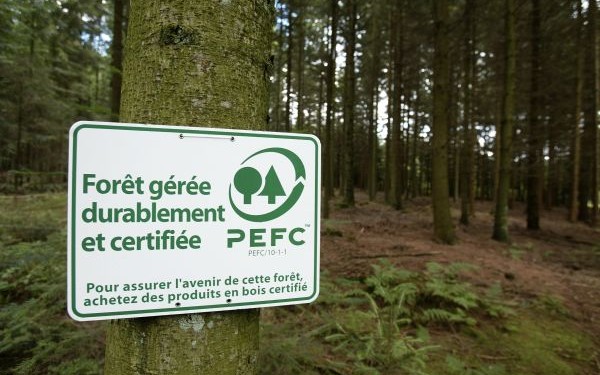 duurzaam bos