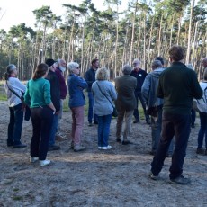 wandelgesprek over natuurbeheer met de coördinator van het Grenspark Kalmthoutse Heide(c) Ronald Rothwell