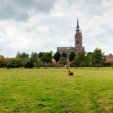 het Disveld ligt in de schaduw van de neogotische Sint-Caroluskerk van Doomkerke