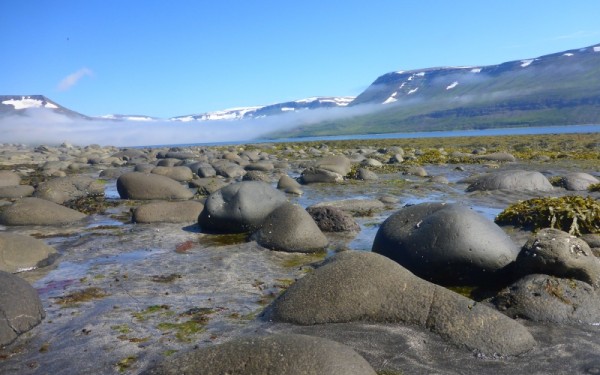 Onherbergzaam Hornstrandir, IJsland